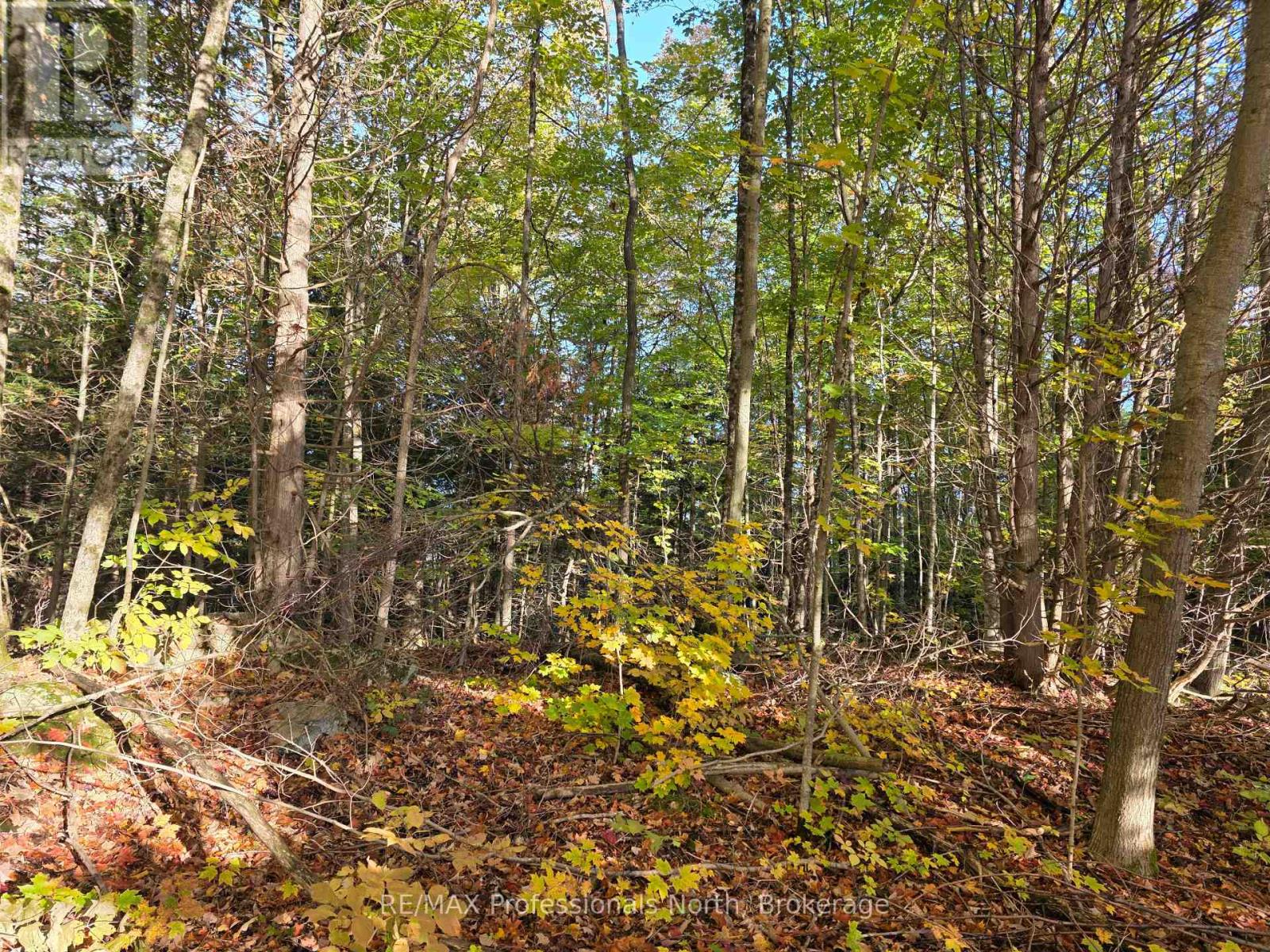 Pt Lt 13 Con 9 35 Highway Property Photo 2