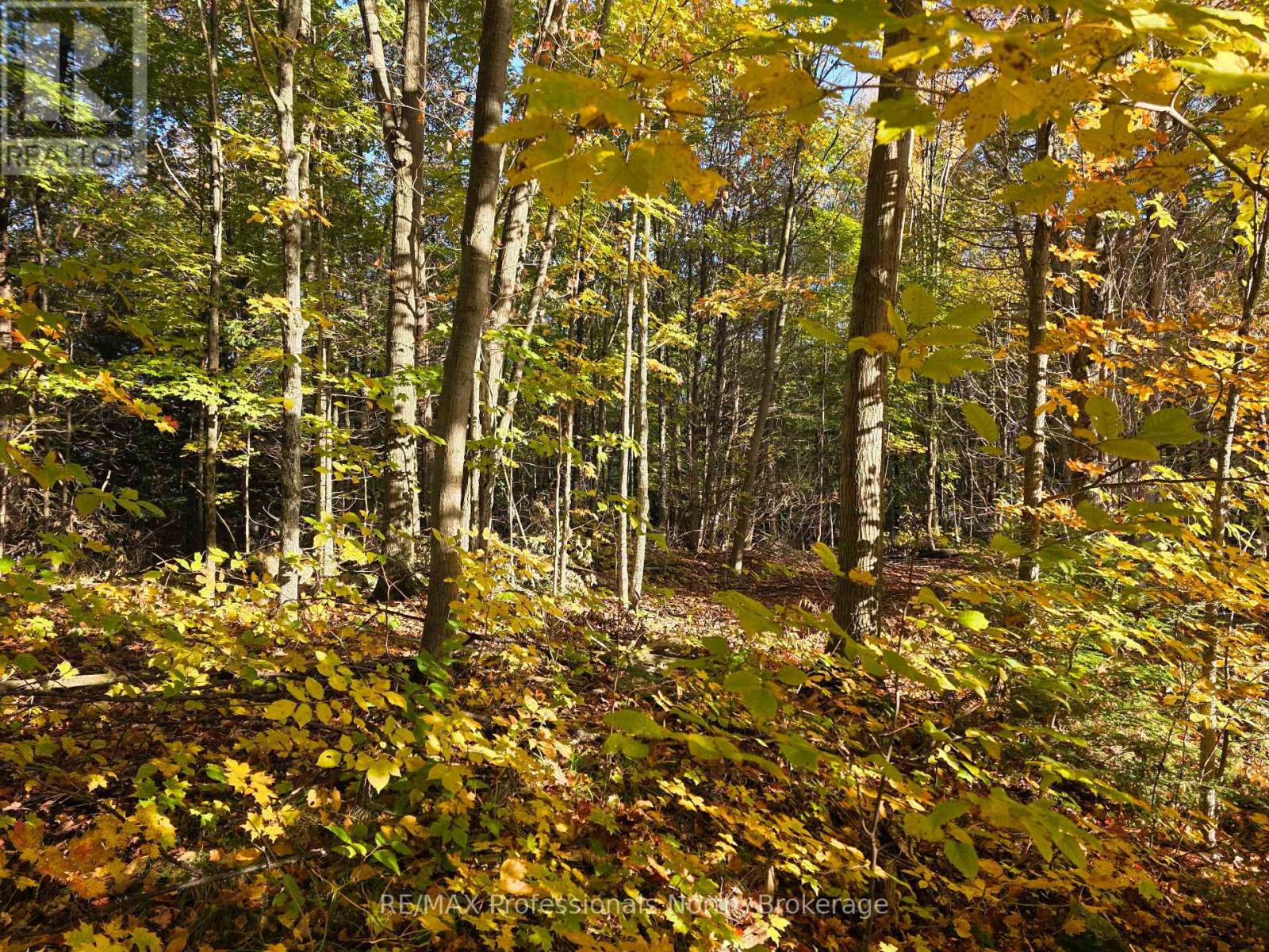 Pt Lt 13 Con 9 35 Highway Property Photo 4