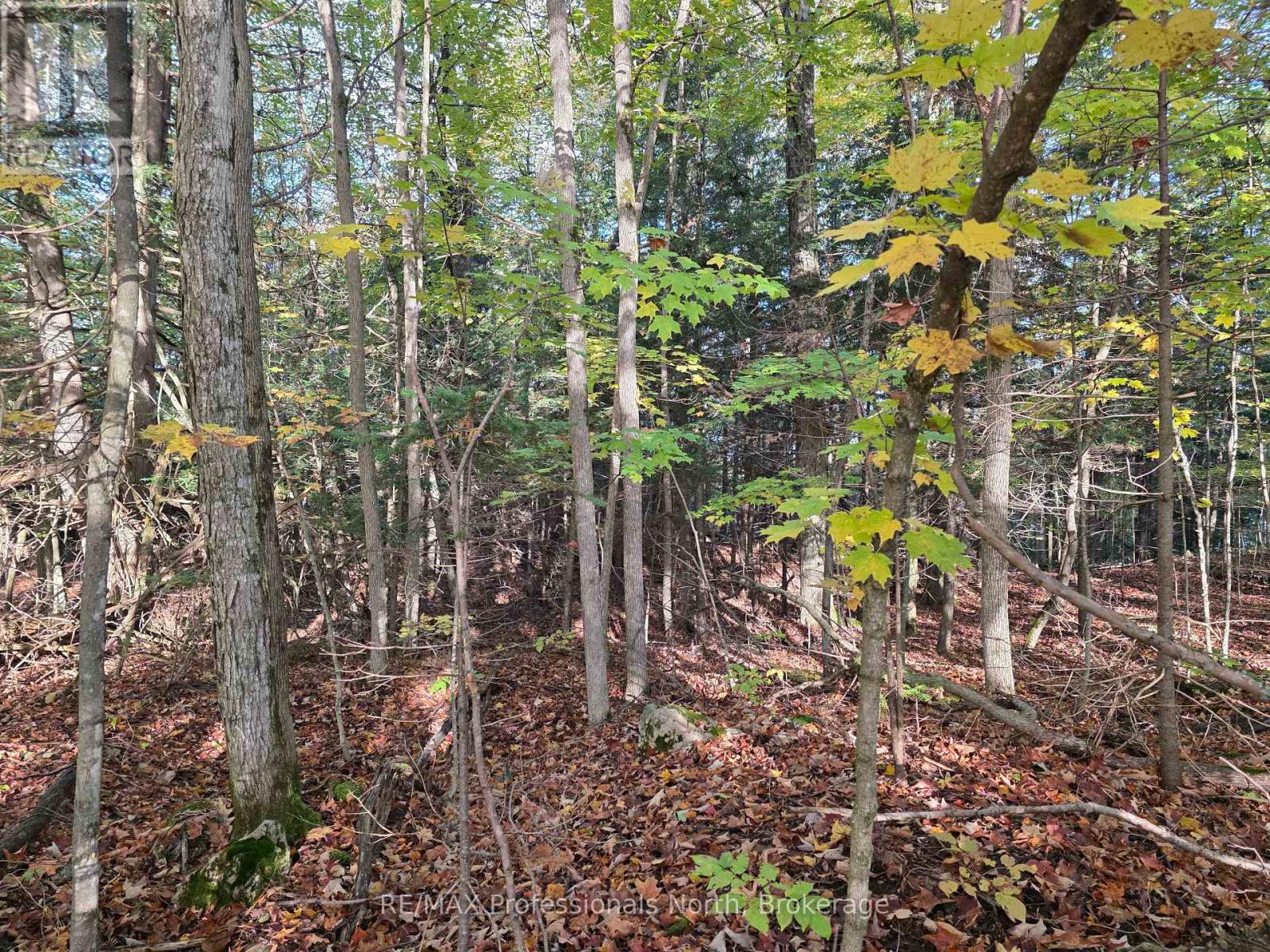 Pt Lt 13 Con 9 35 Highway Property Photo 5