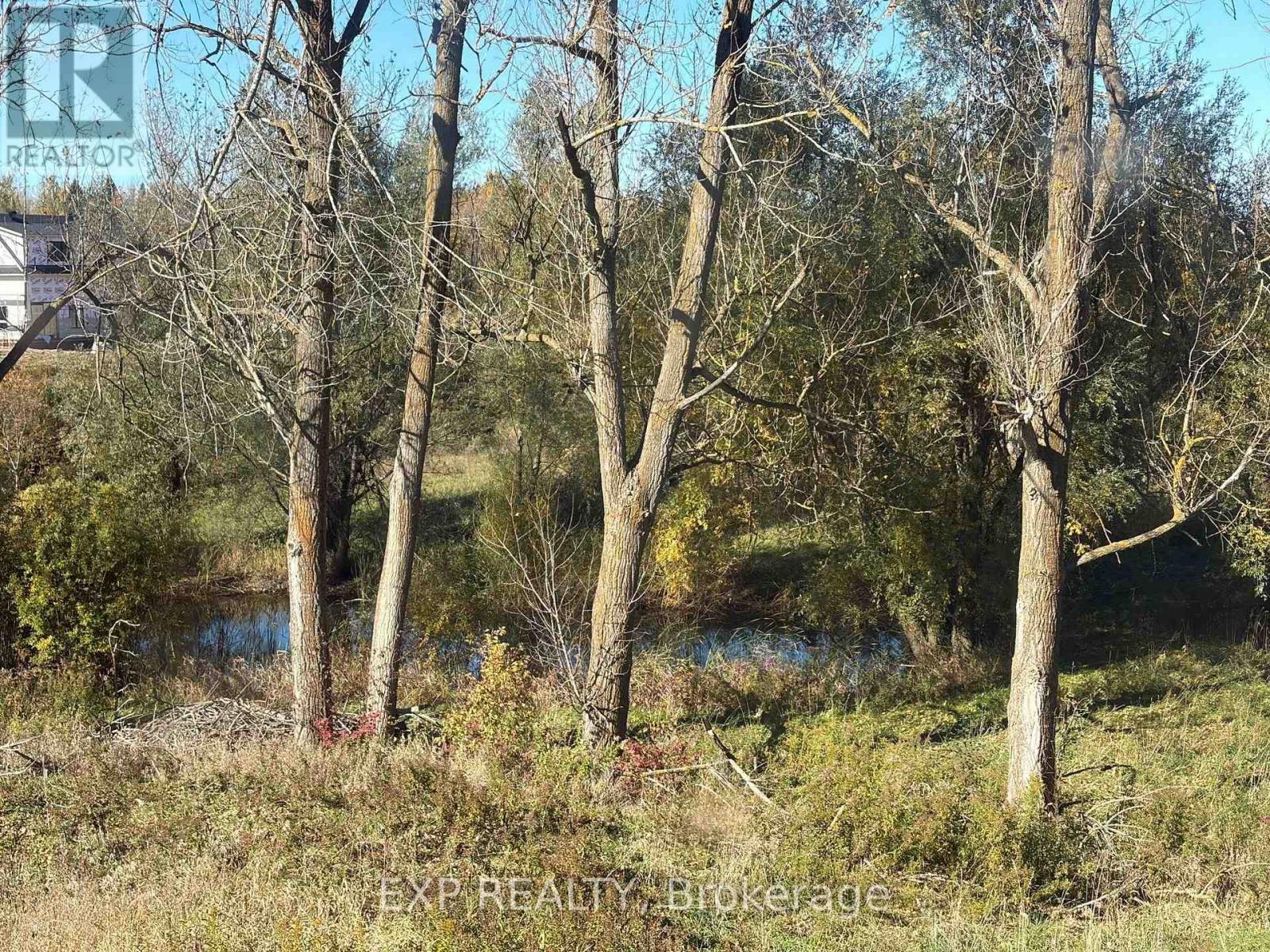 485525 30th Side Road S Property Photo 39