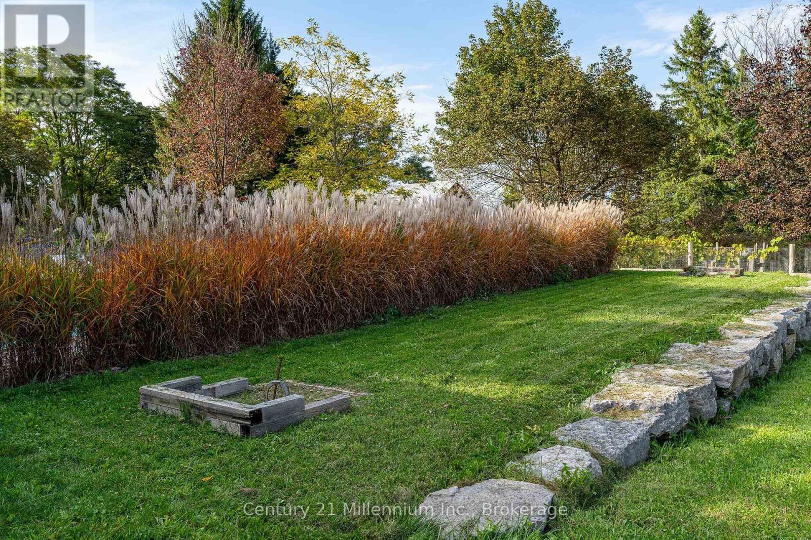 516557 7th Line Property Photo 44