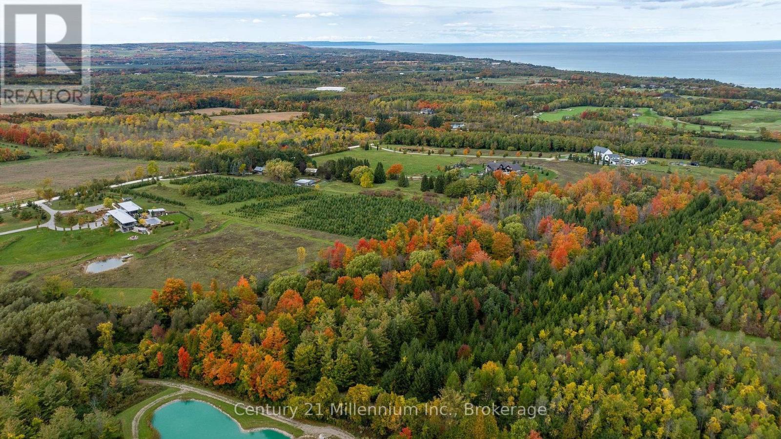 516557 7th Line Property Photo 48