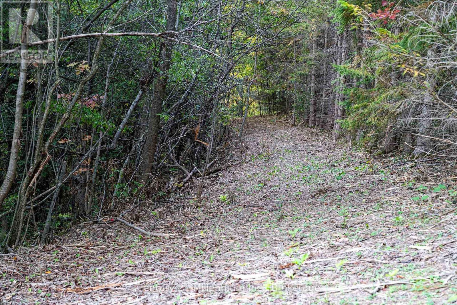 516557 7th Line Property Photo 49