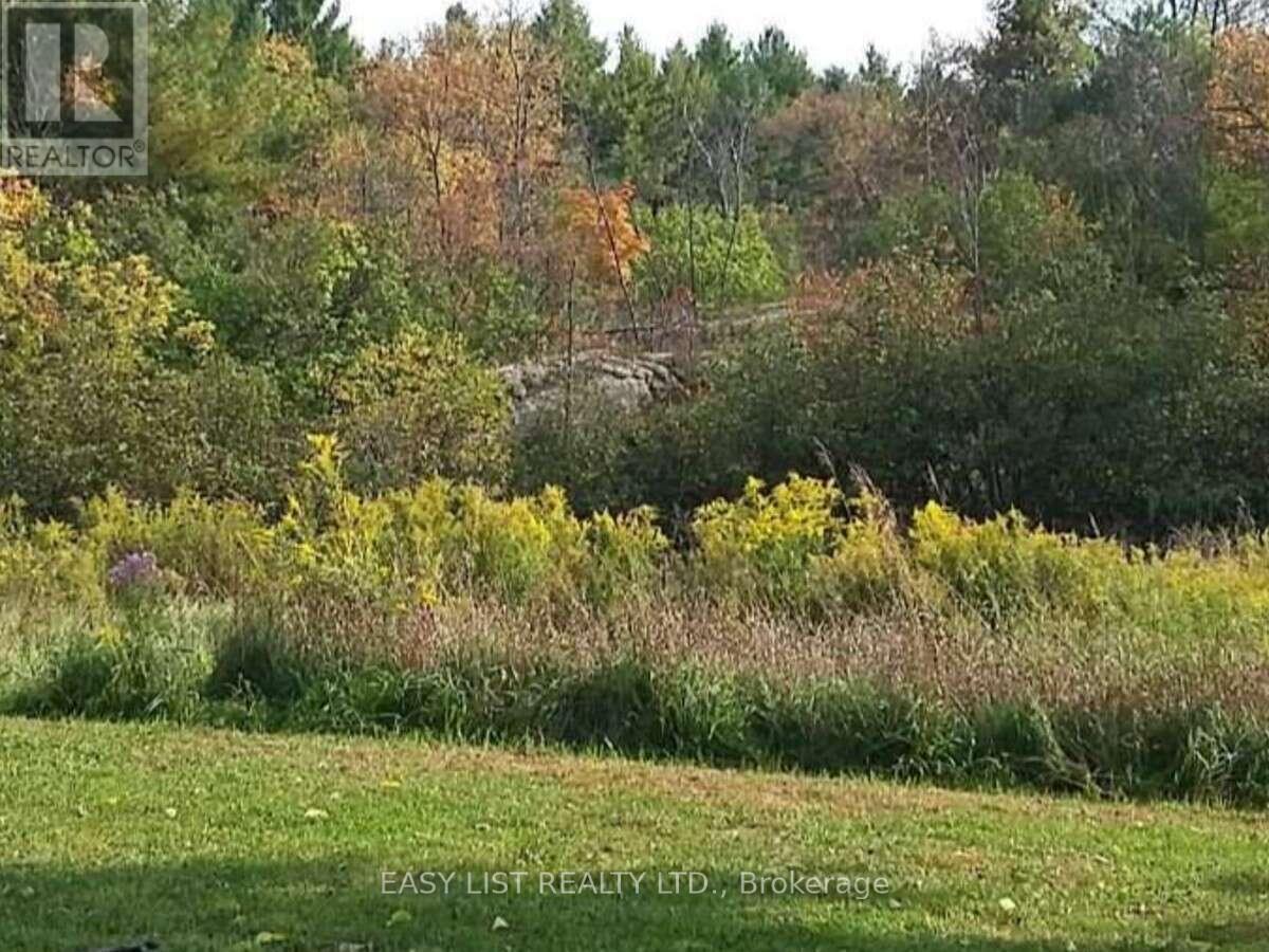 35 Kaladar Street Property Photo 10