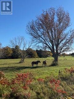 504054 Grey Rd 1 Road Property Photo 2