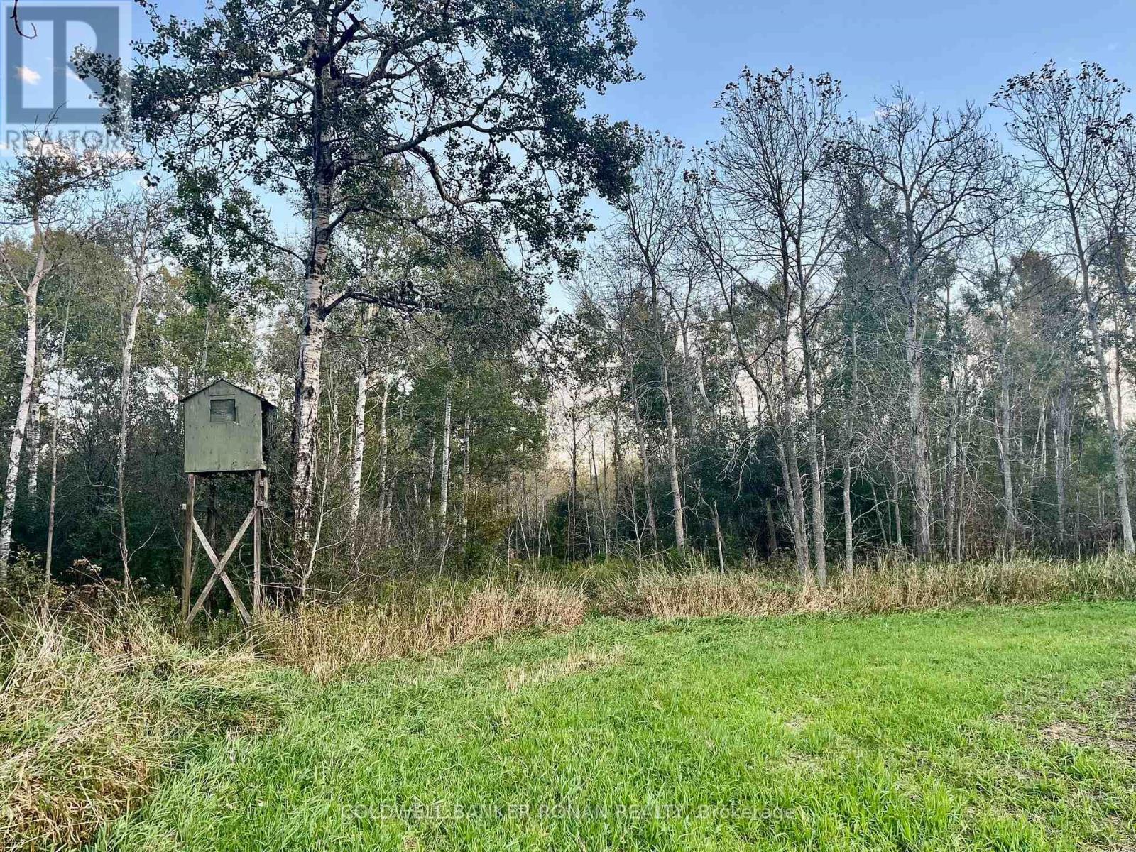 345198 15 Side Road Property Photo 4