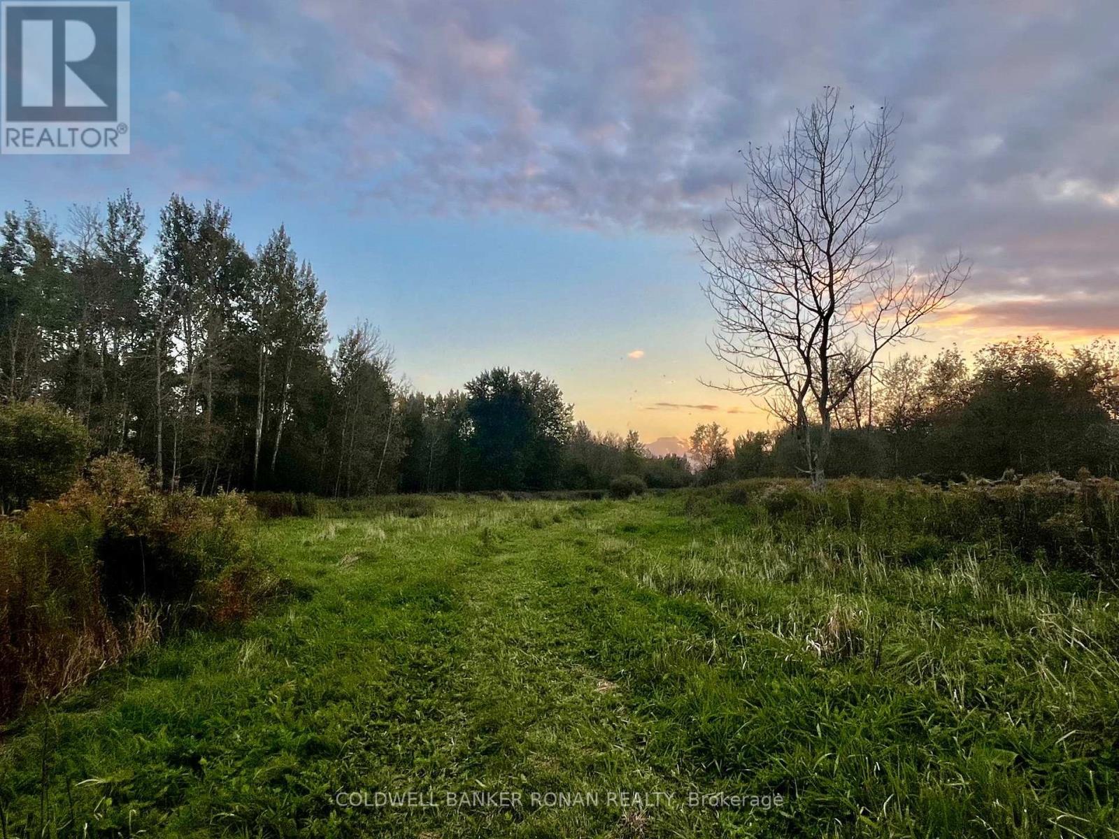 345198 15 Side Road Property Photo 7