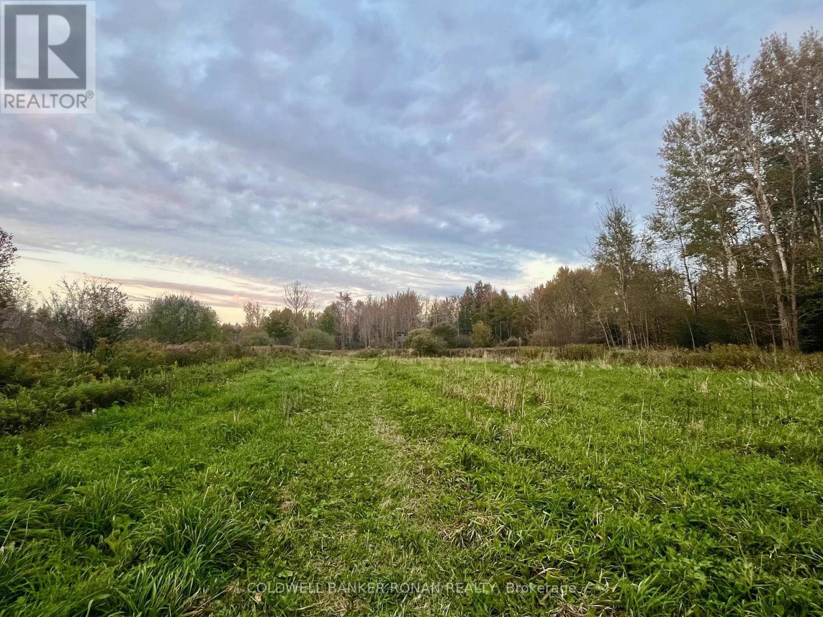 345198 15 Side Road Property Photo 8