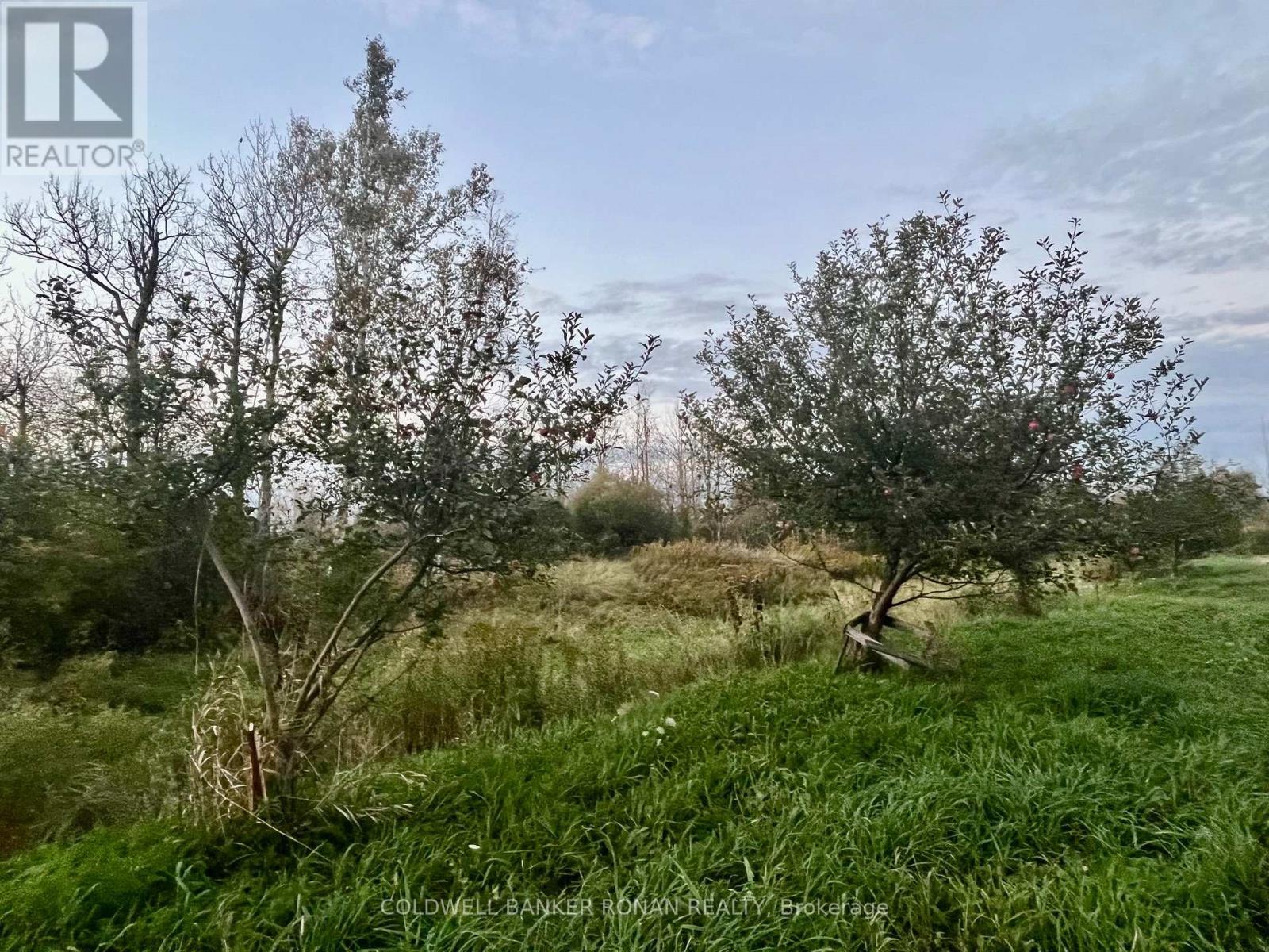 345198 15 Side Road Property Photo 13