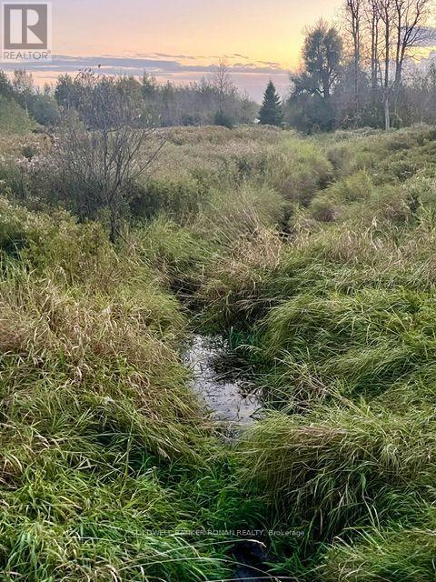 345198 15 Side Road Property Photo 16