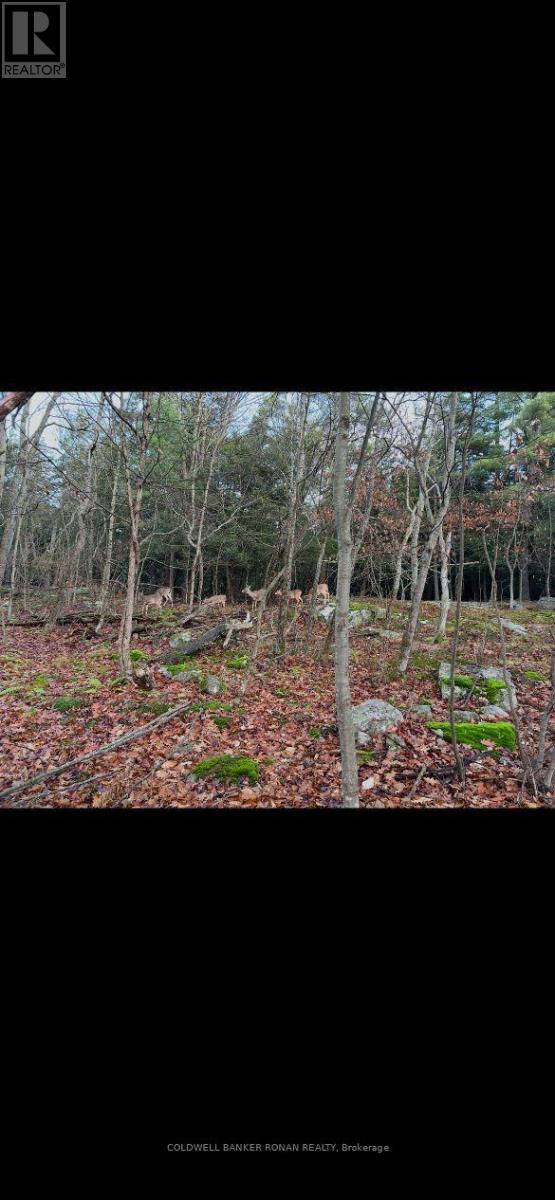 345198 15 Side Road Property Photo 20