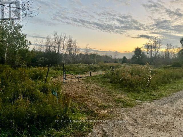 345198 15 Side Road Property Photo 21