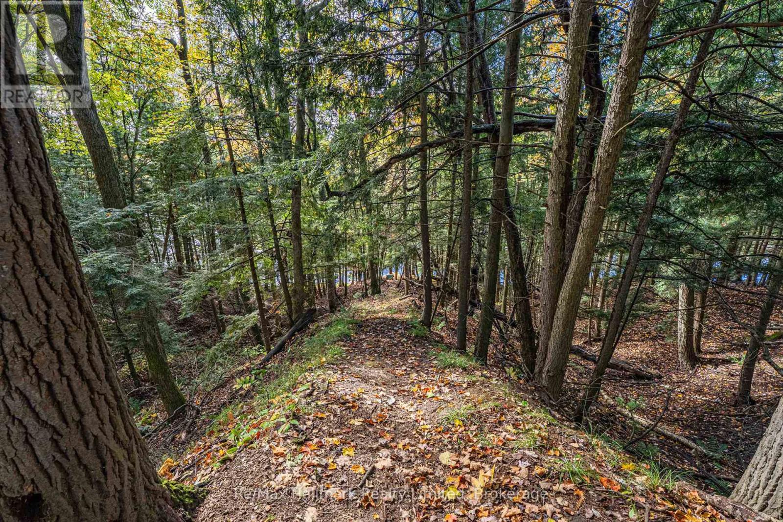 140 Woodward Street Property Photo 45