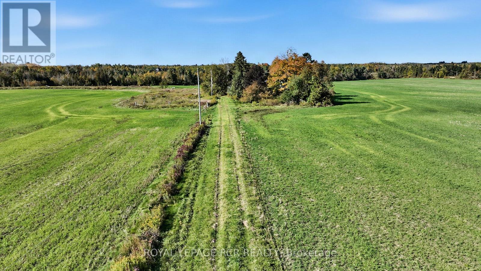 516458 County 124 Road Property Photo 6