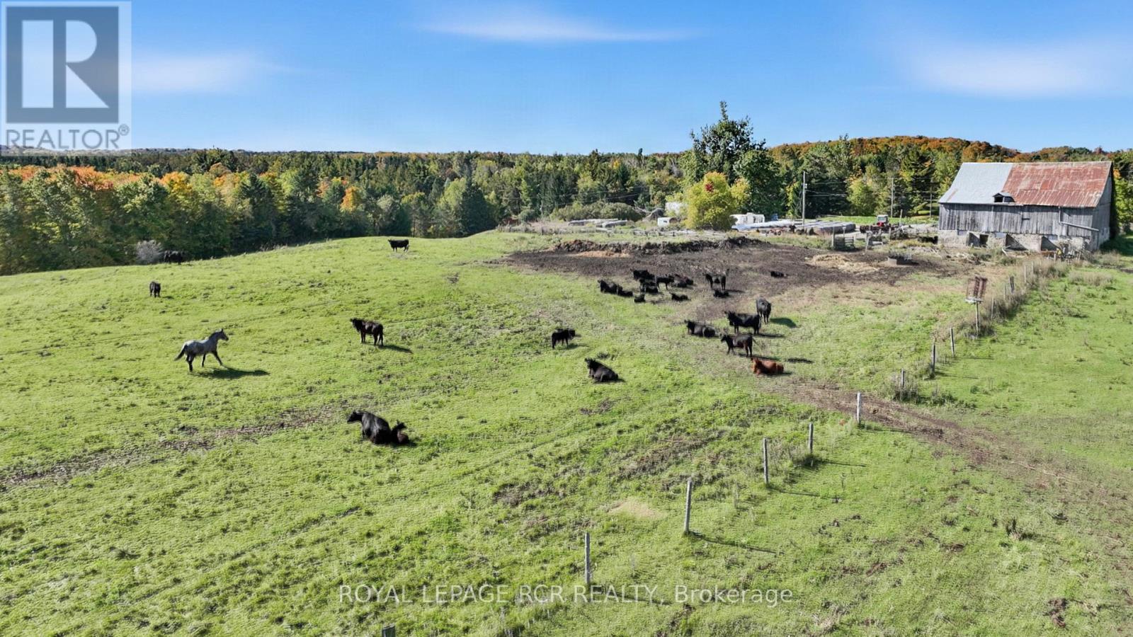 715689 1st Line Property Photo 8