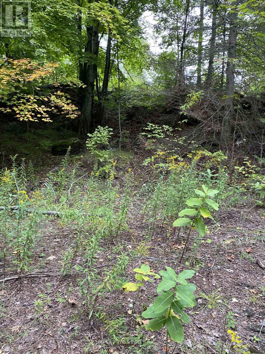 6055 Hwy 620 Property Photo 1