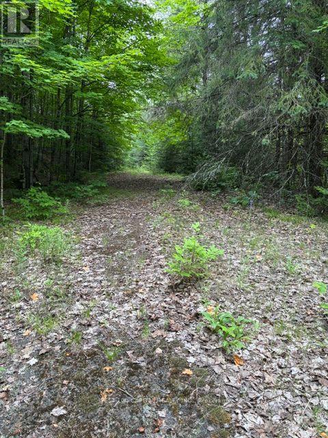 6055 Hwy 620 Property Photo 6