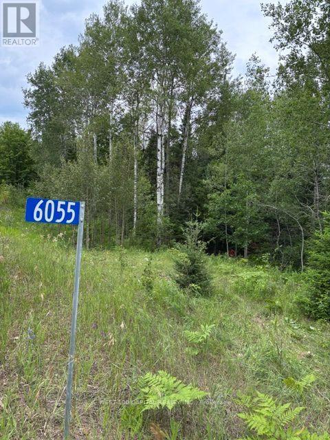 6055 Hwy 620 Property Photo 7