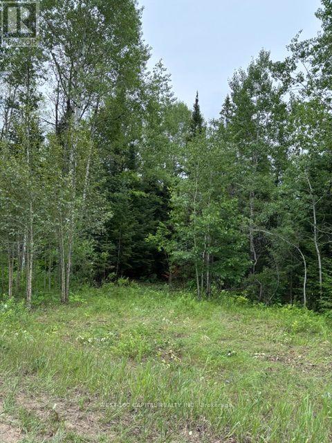 6055 Hwy 620 Property Photo 8