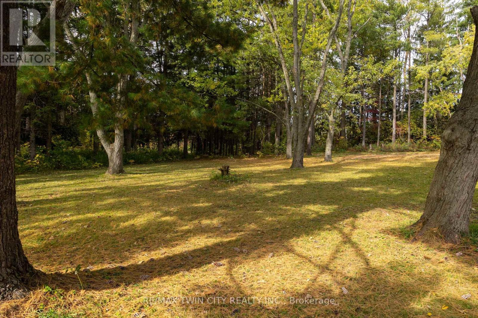 84 Etonia Road Property Photo 11