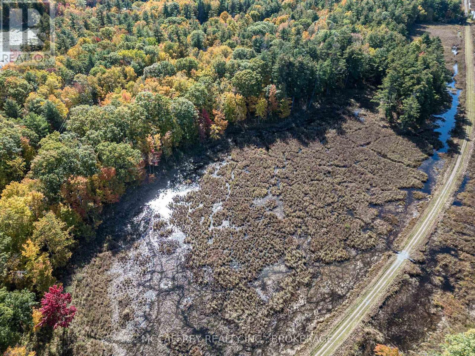 0 Clear Lake Road Property Photo 15