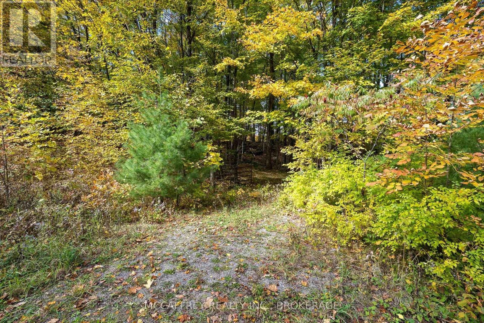 0 Clear Lake Road Property Photo 28