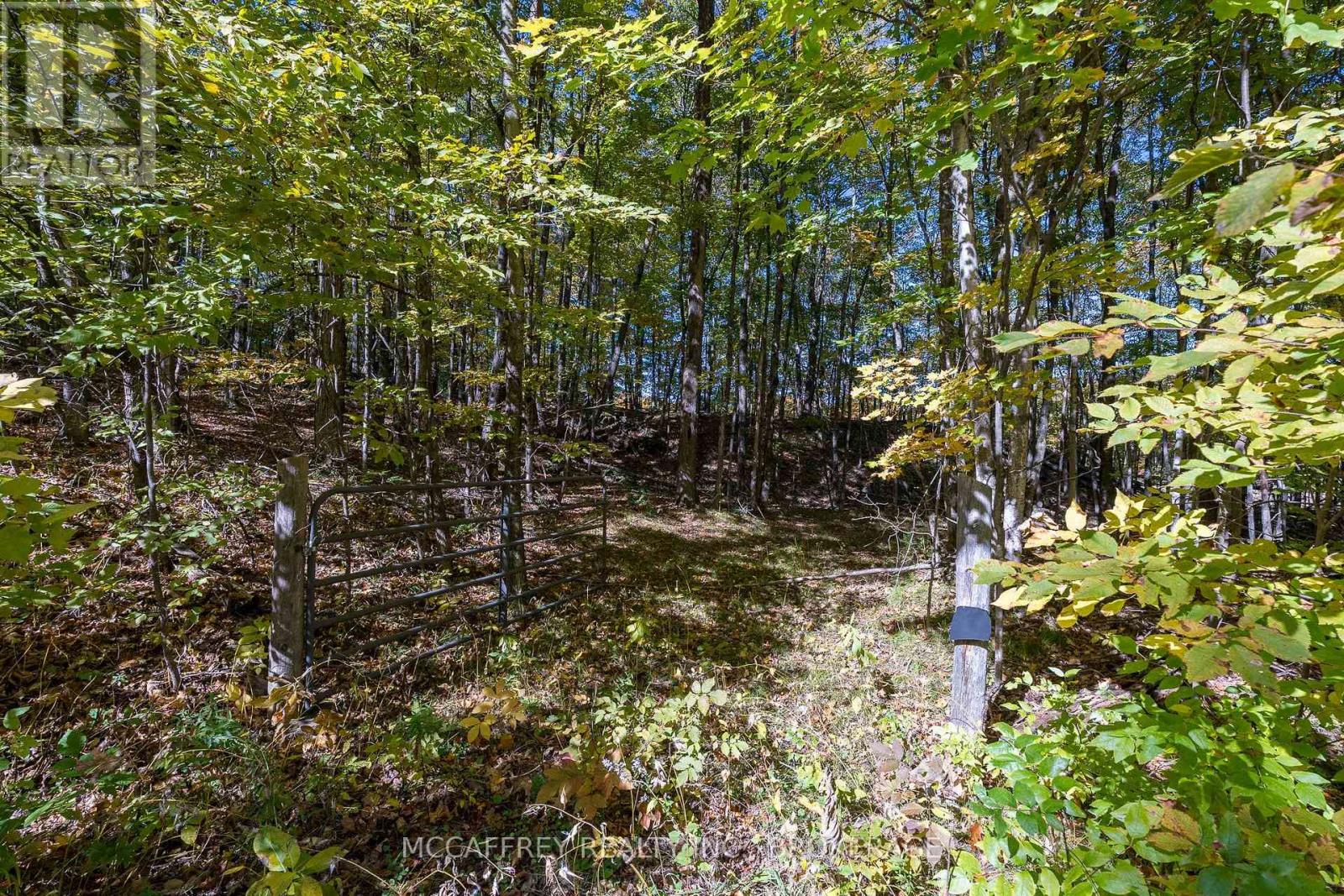 0 Clear Lake Road Property Photo 30