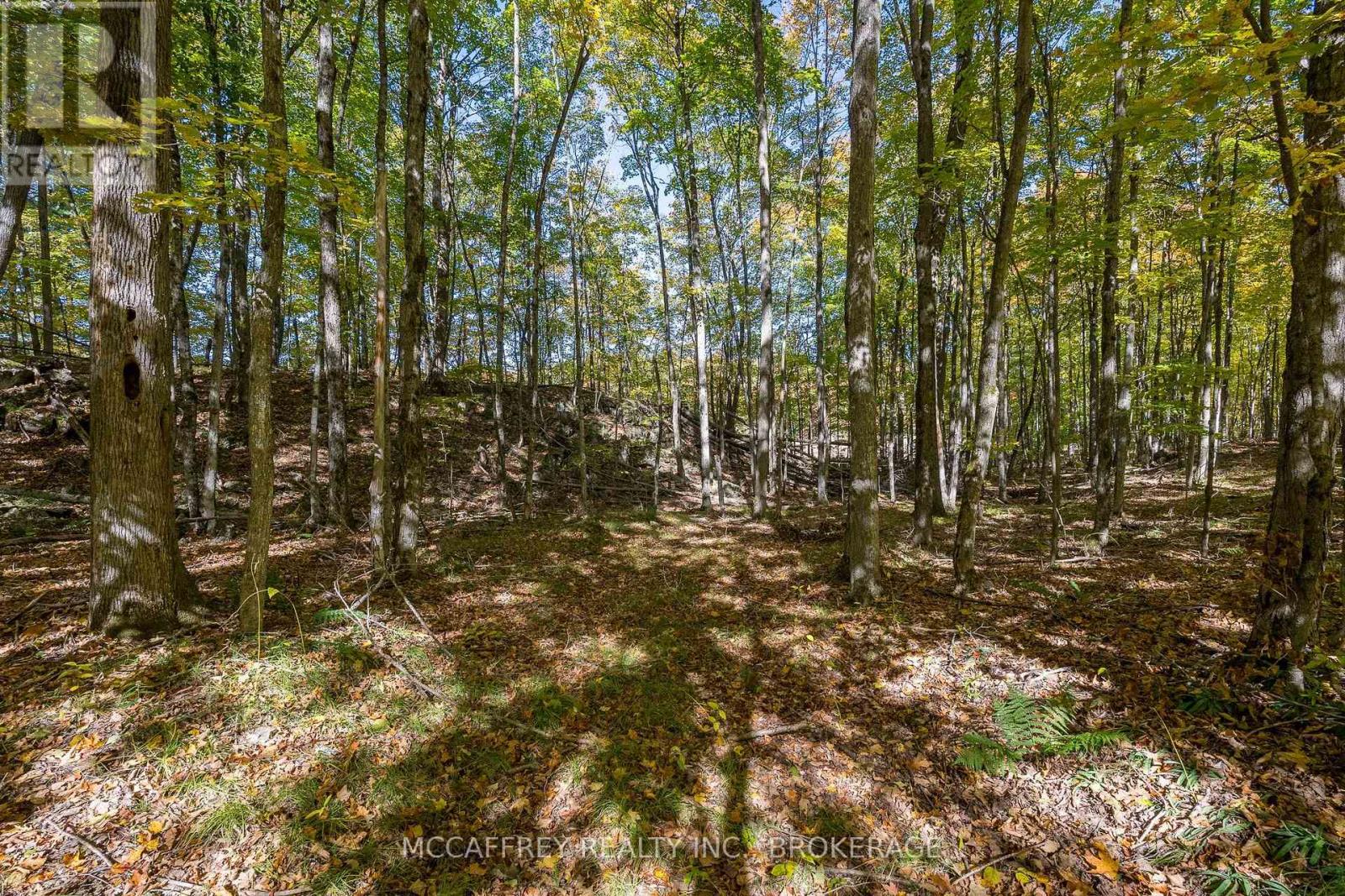 0 Clear Lake Road Property Photo 31