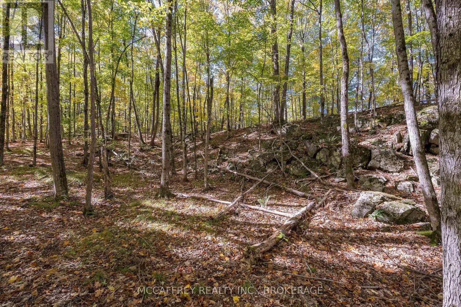0 Clear Lake Road Property Photo 36