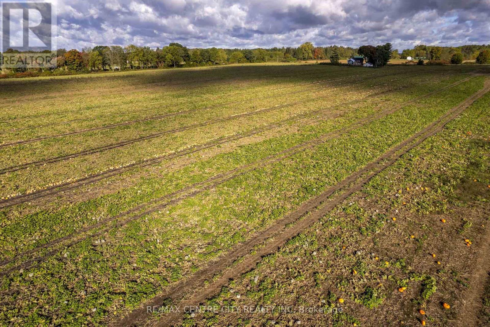 8916 Coyle Road Property Photo 25