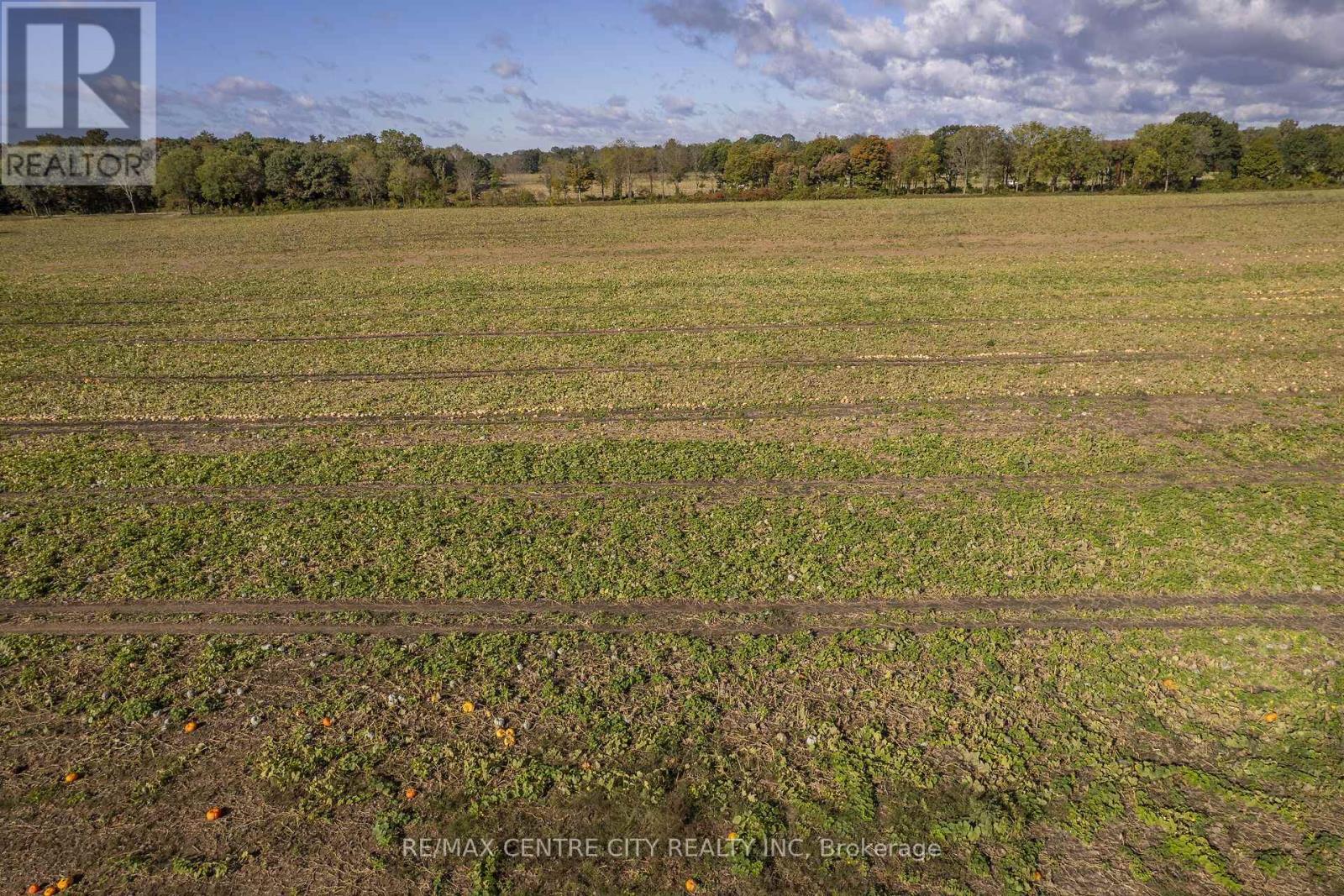 8916 Coyle Road Property Photo 26