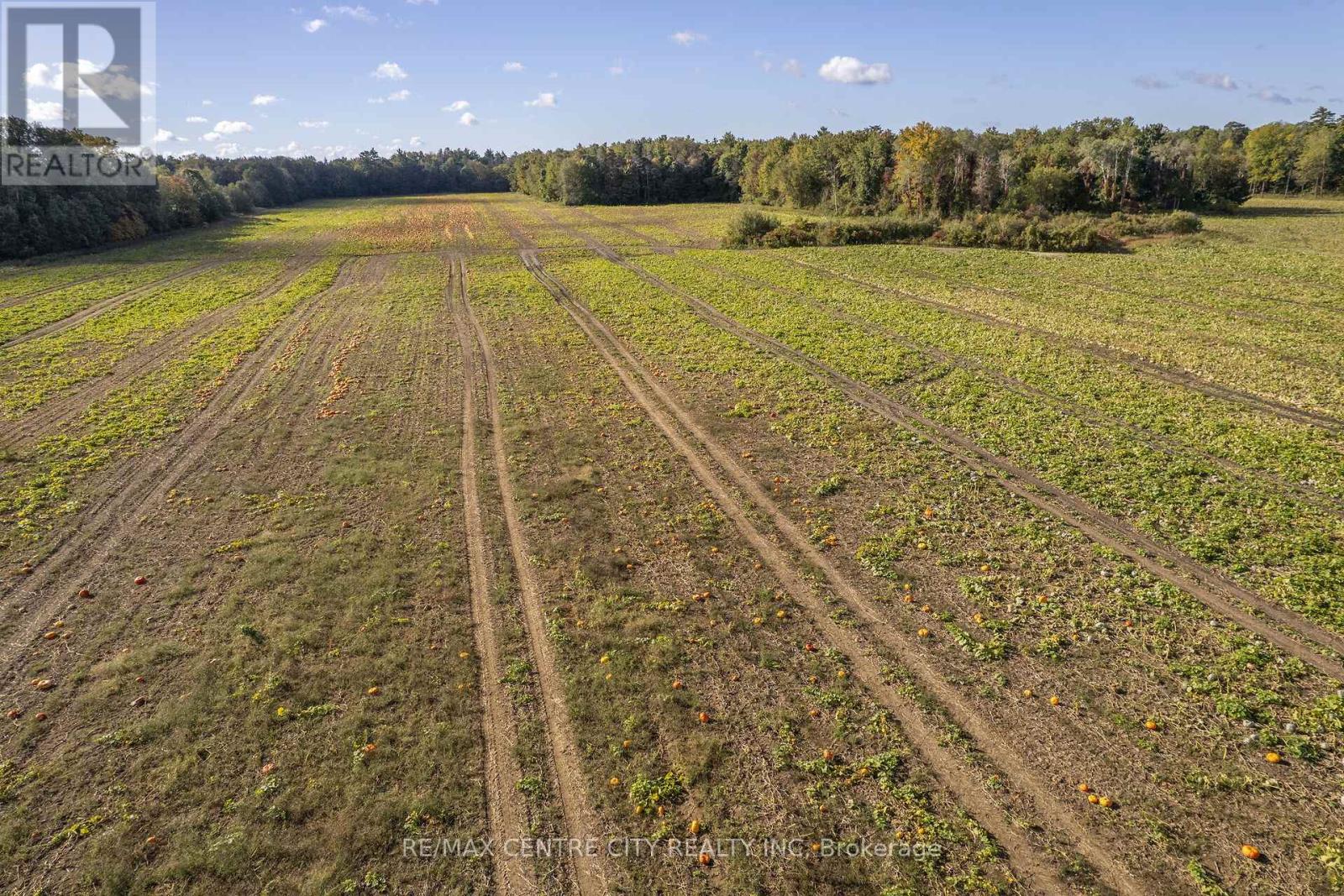 8916 Coyle Road Property Photo 27