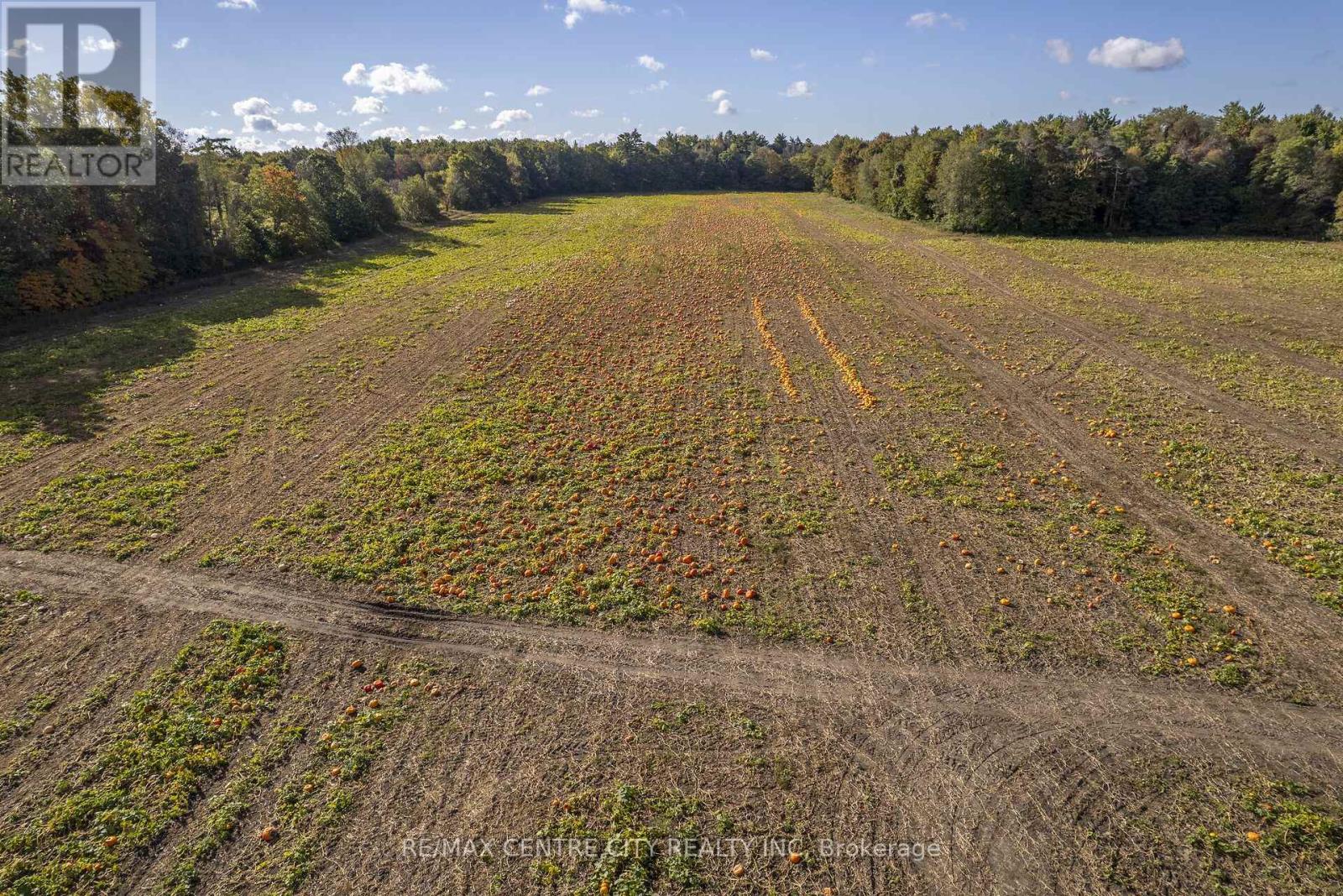 8916 Coyle Road Property Photo 28