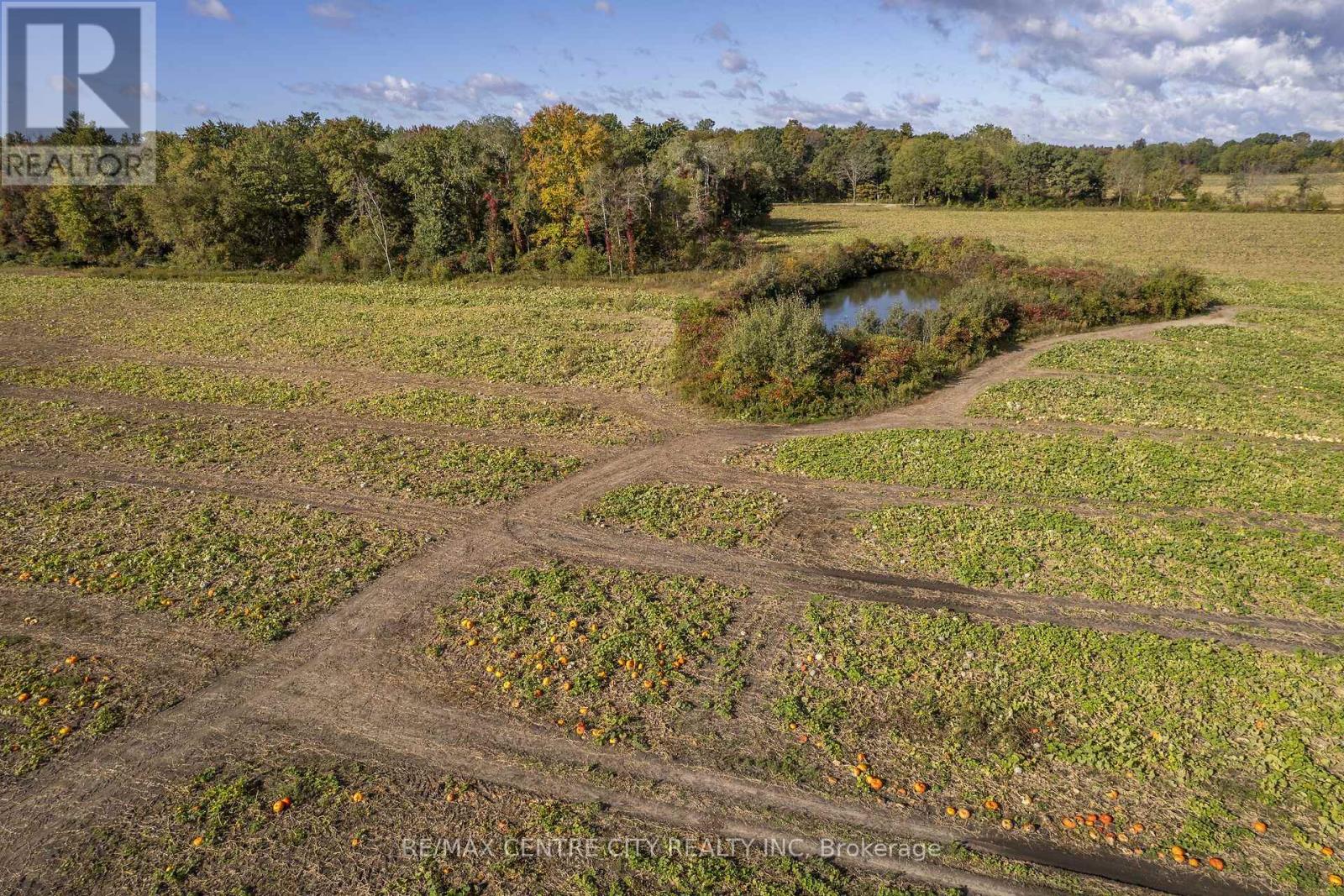 8916 Coyle Road Property Photo 29
