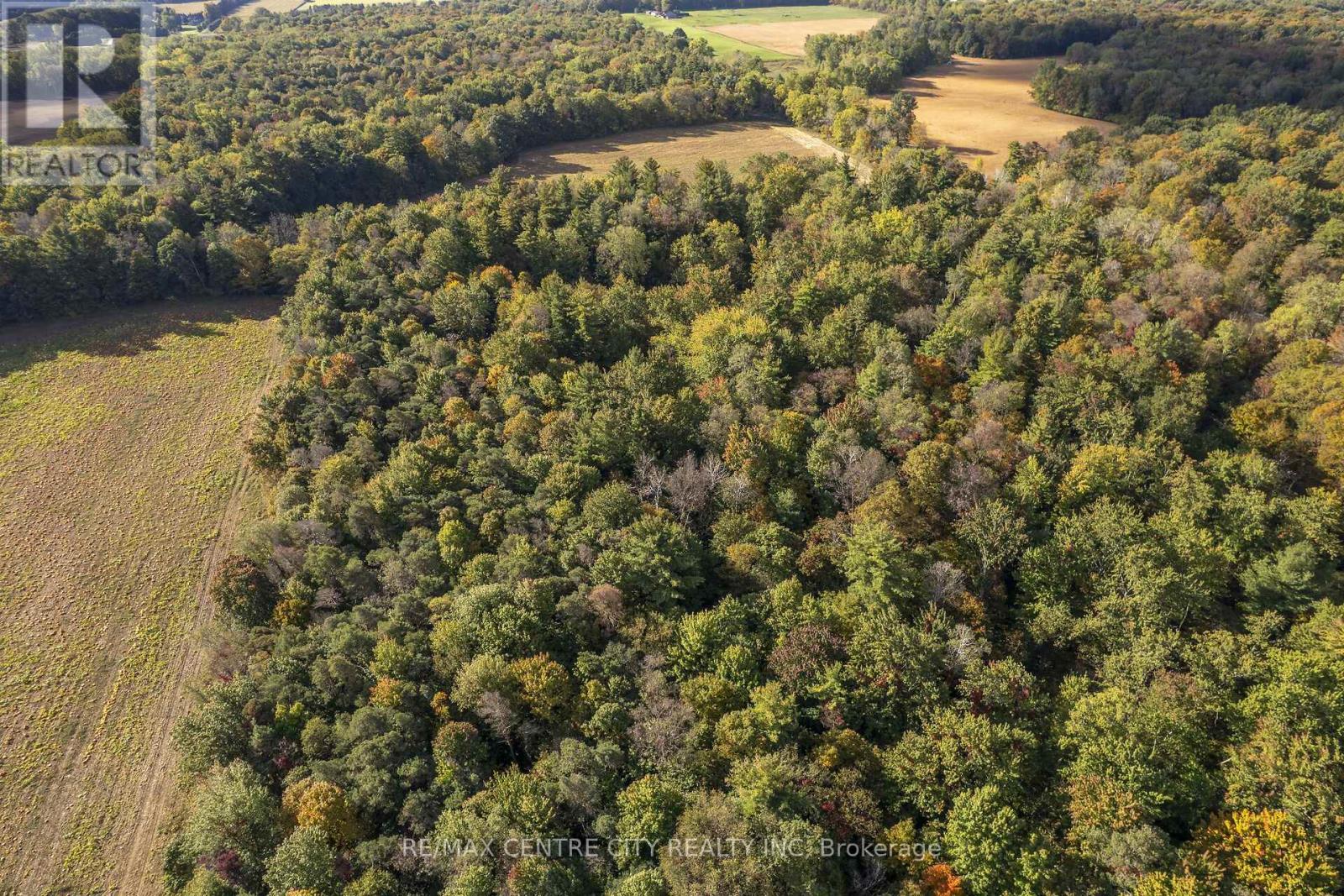 8916 Coyle Road Property Photo 31