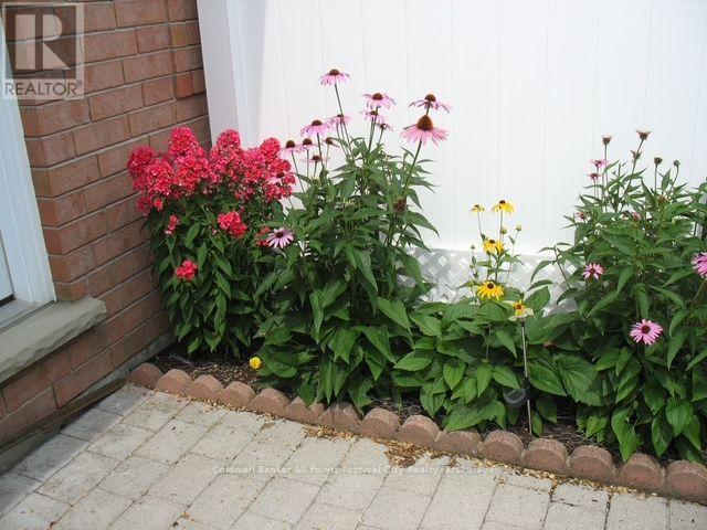407 Warren Street Property Photo 50