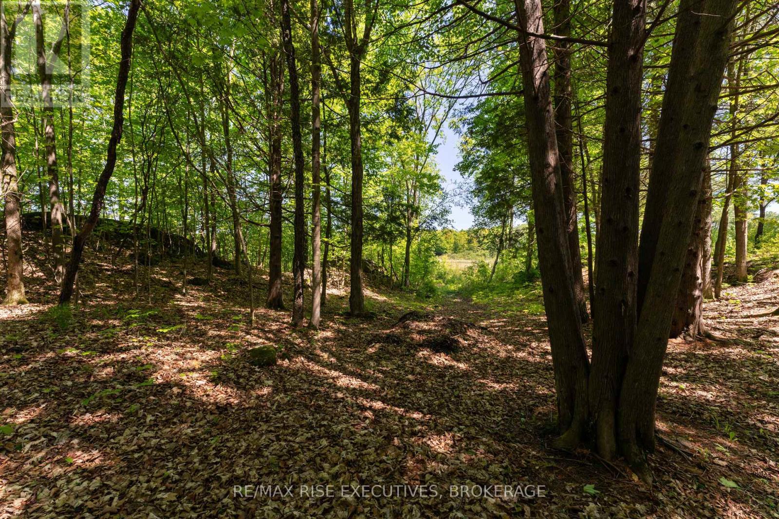 Pt 2 Spring Mill Lane Property Photo 5