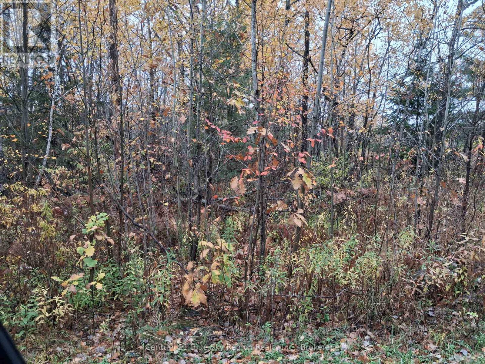 0 Bear Creek Road Property Photo 1