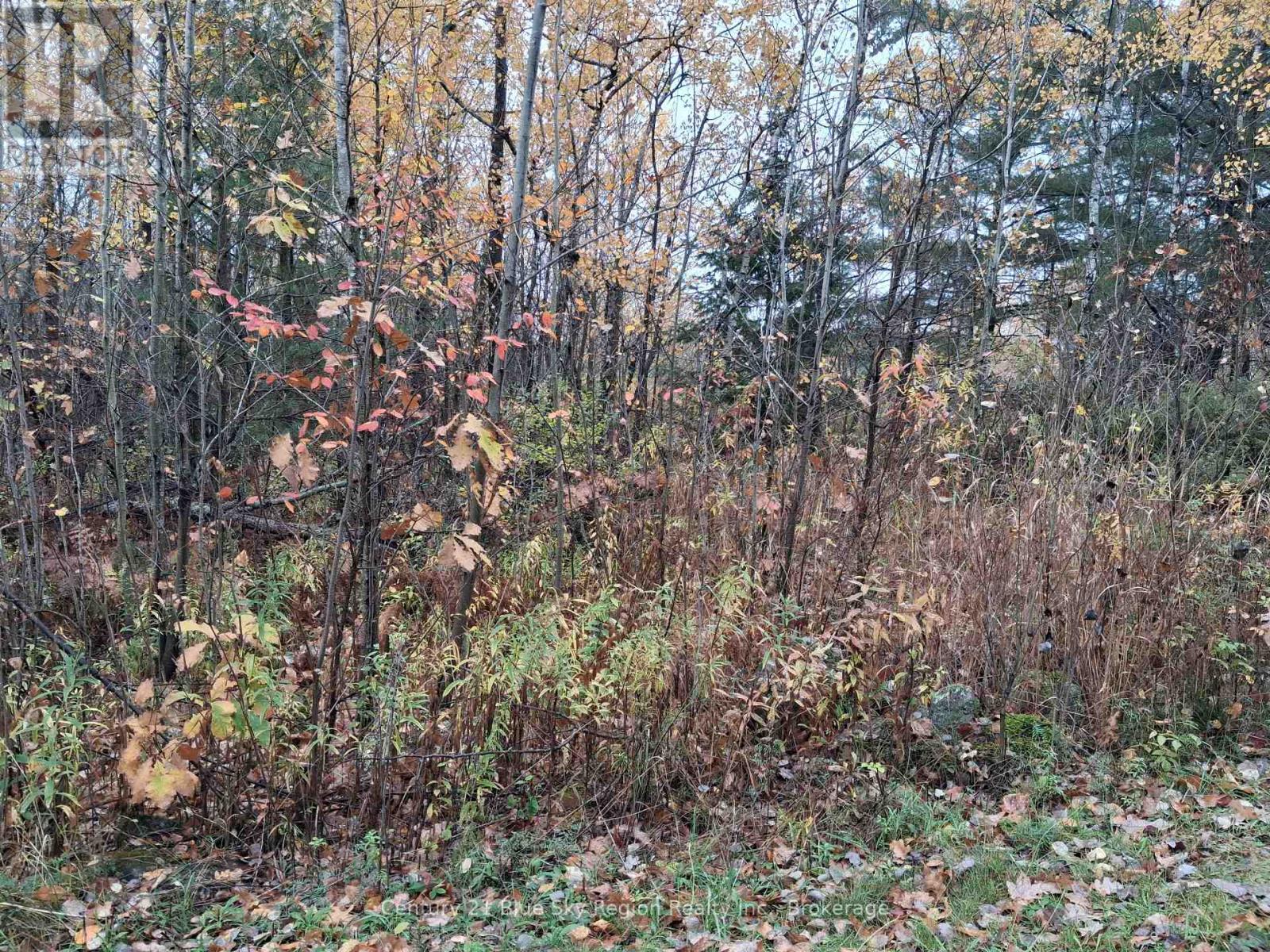 0 Bear Creek Road Property Photo 2