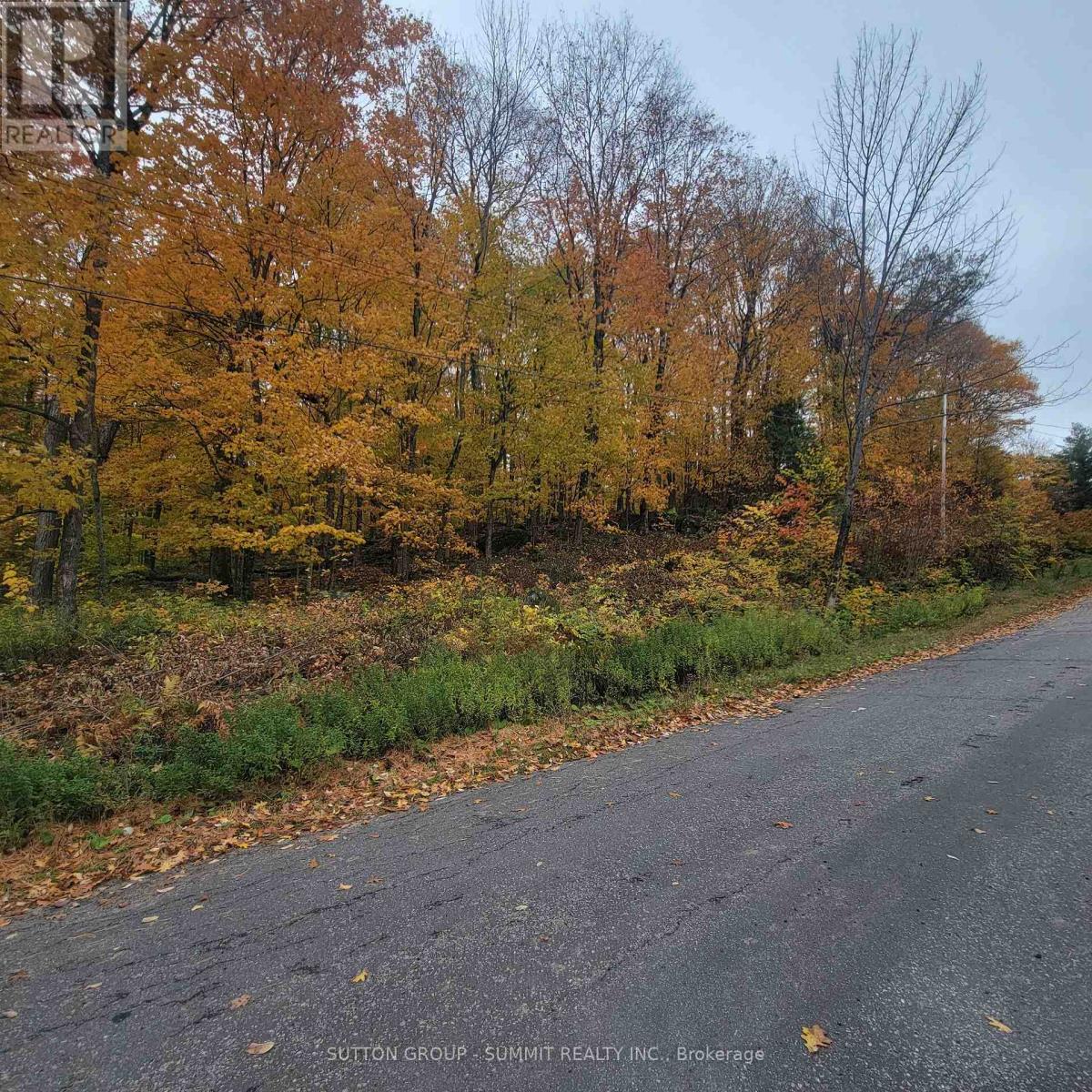 261 Westpoint Sands Road Property Photo 4