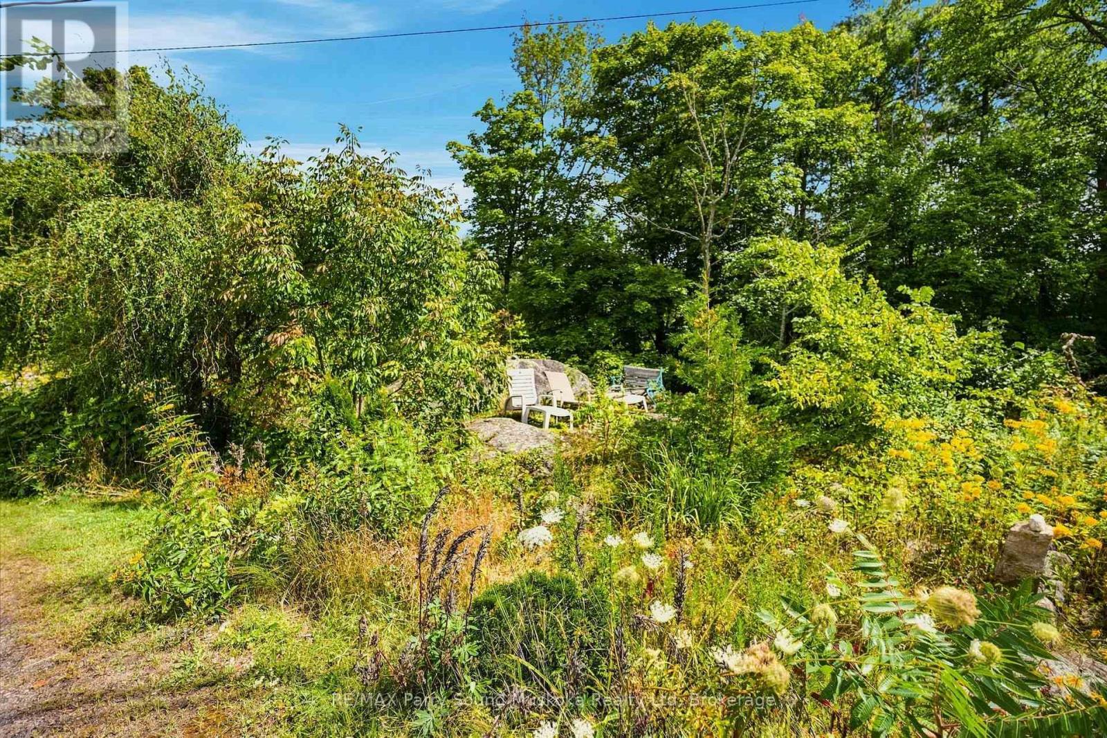 1115 Highway 124 Property Photo 31