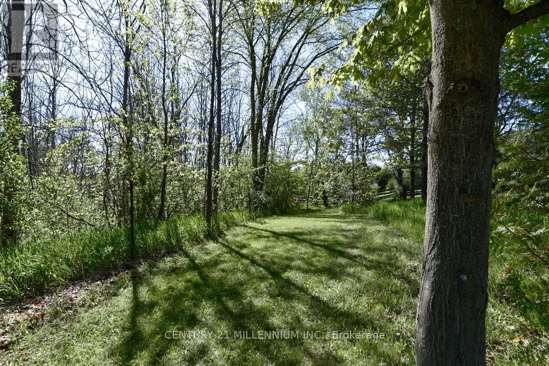 753333 2nd Line Ehs Property Photo 49