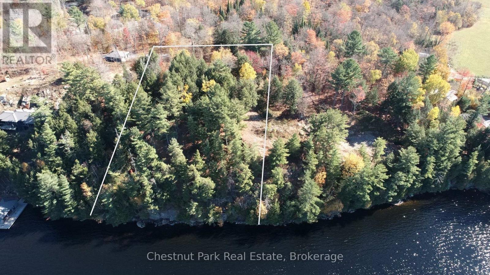 536 Springfield Road Property Photo 2