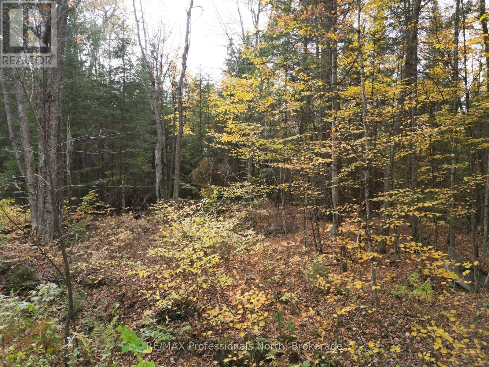 Tbd Rugged Lane Property Photo 5