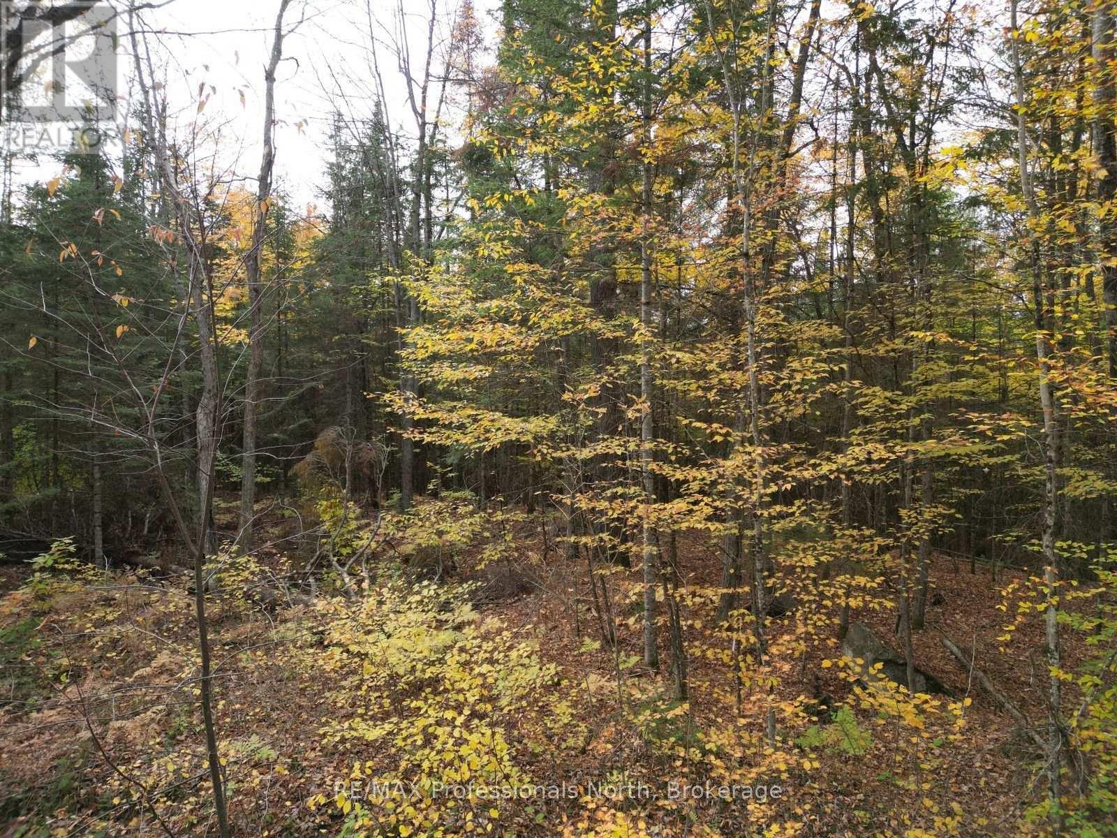 Tbd Rugged Lane Property Photo 6