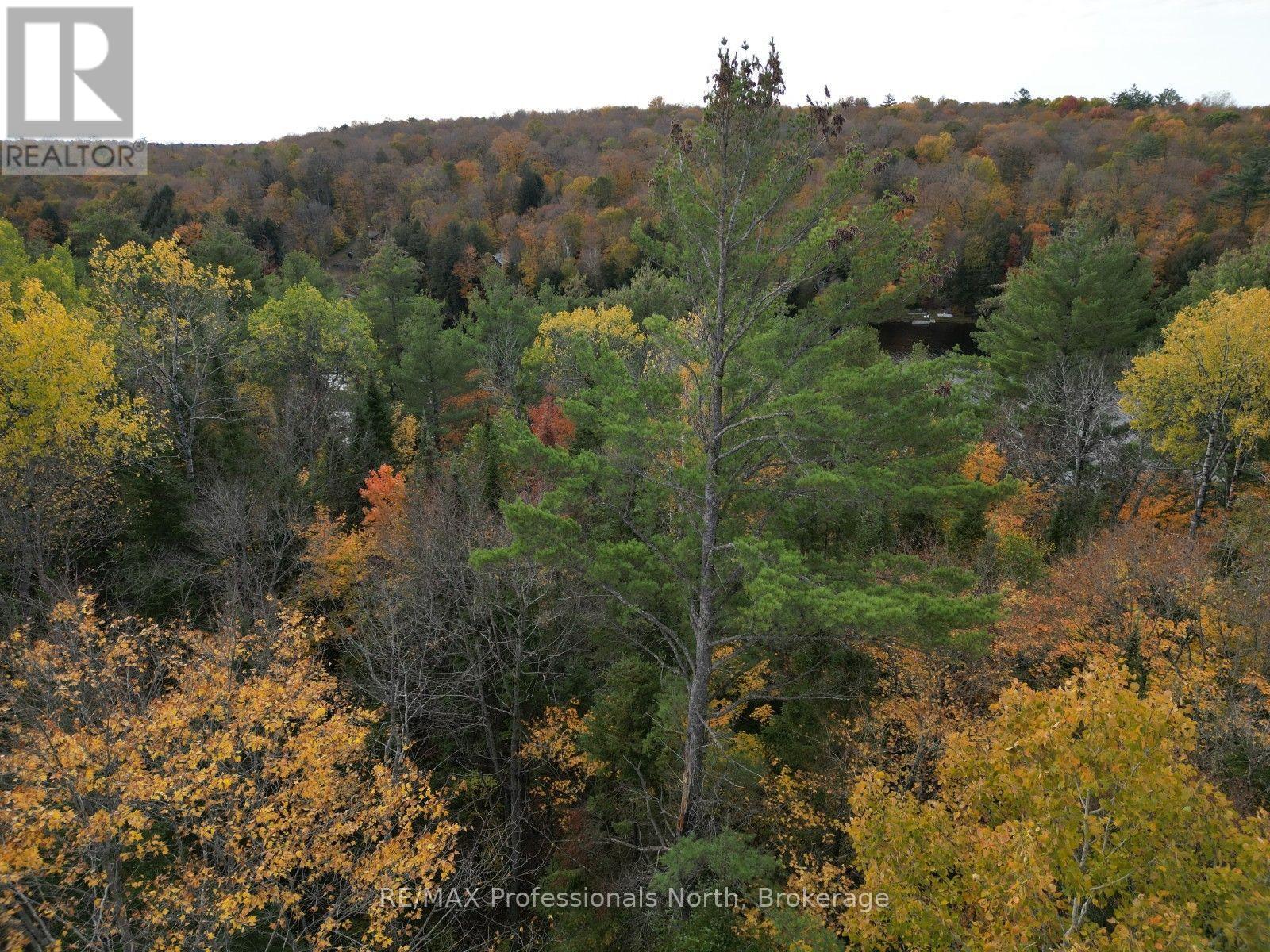 Tbd Rugged Lane Property Photo 7