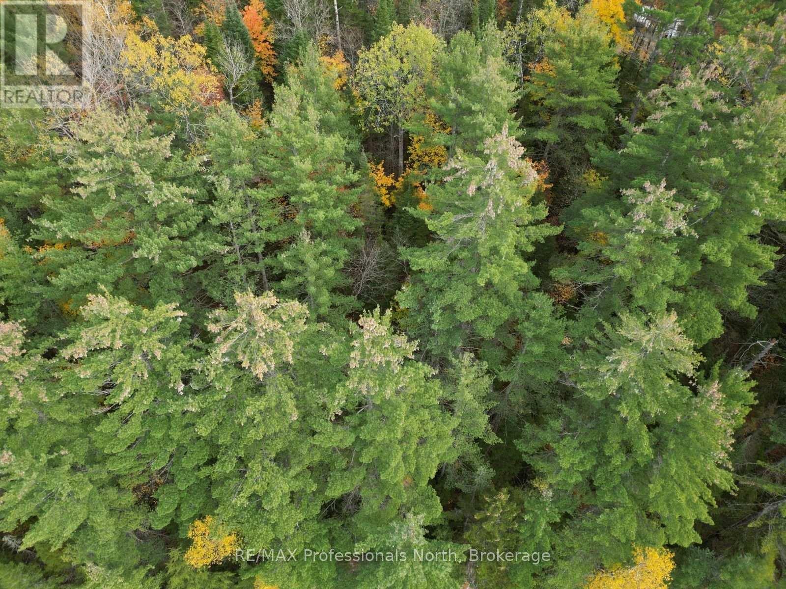 Tbd Rugged Lane Property Photo 15