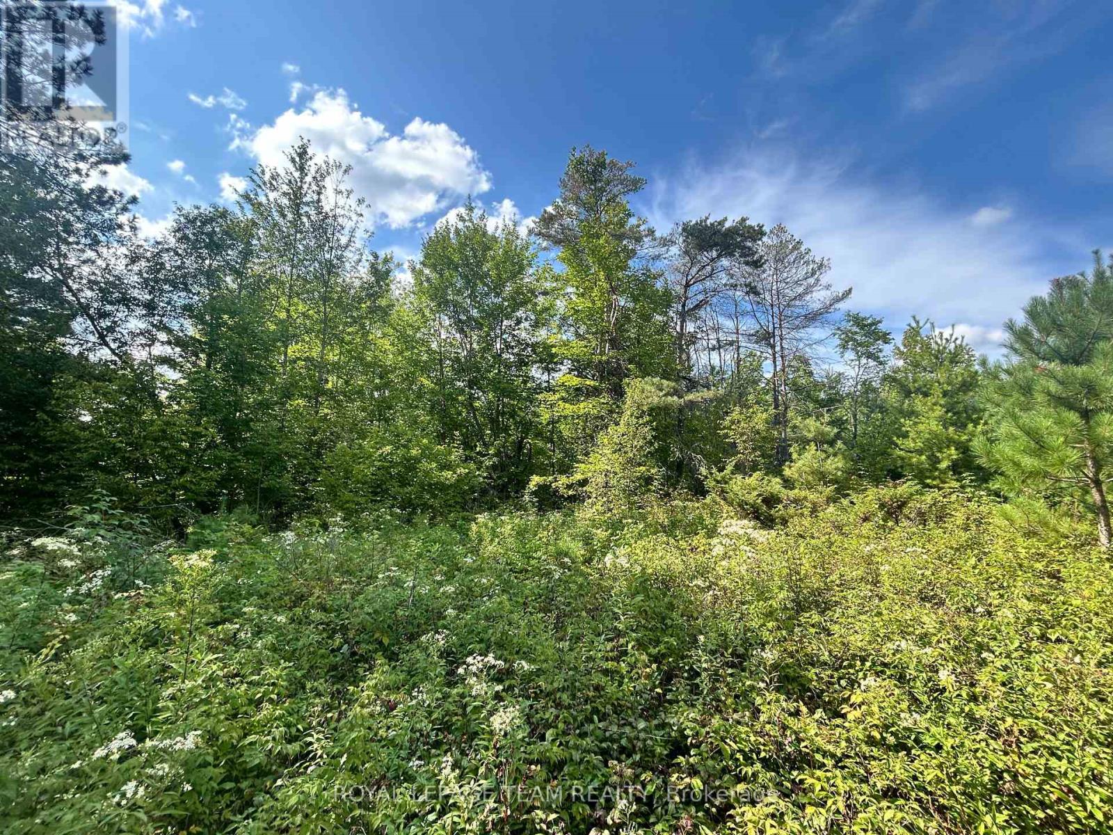 Lot 7&8 Pond Road Property Photo 6