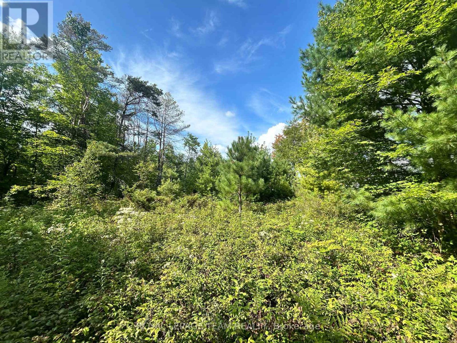 Lot 7&8 Pond Road Property Photo 7