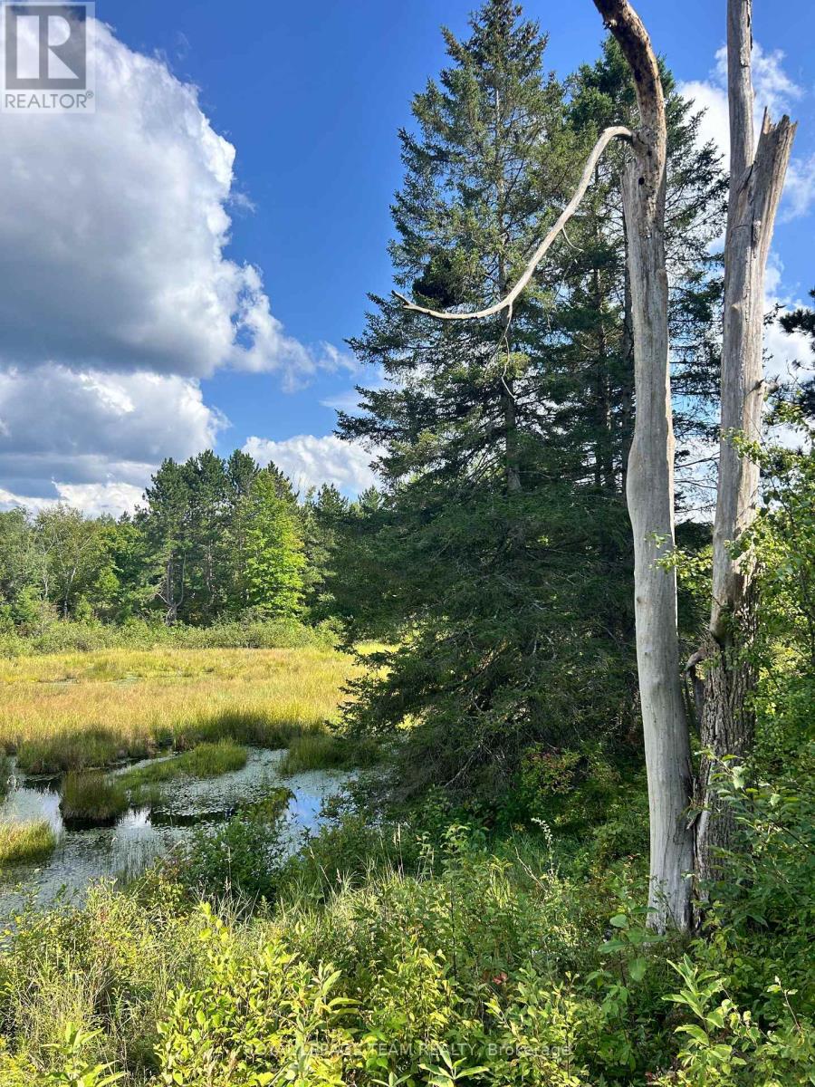 Lot 7&8 Pond Road Property Photo 9